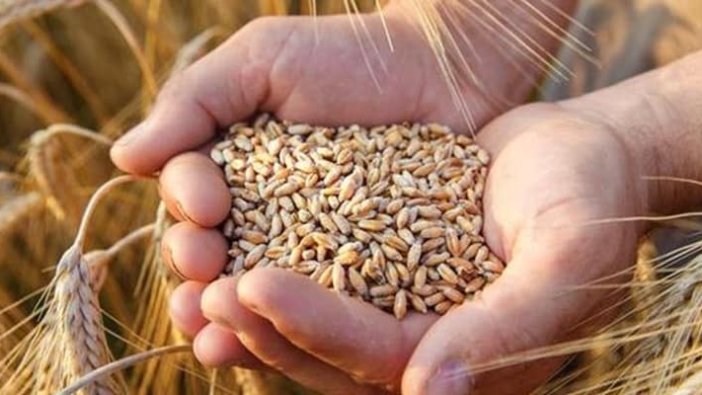 Milyonları ilgilendiren 'tahıl krizi'ne dair açıklama