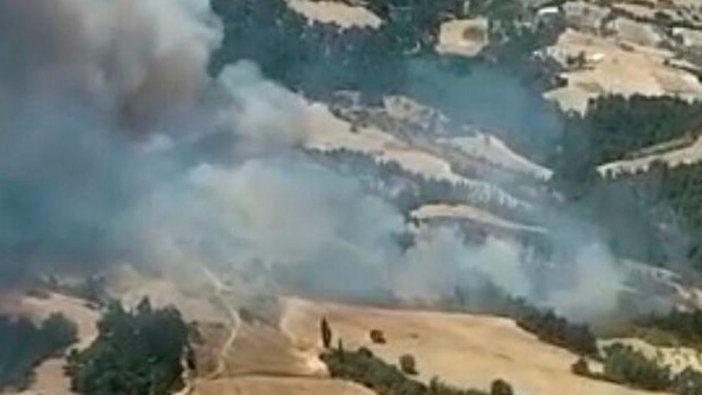 Yangın mevsimi devam ediyor: Manisa'da orman yangını