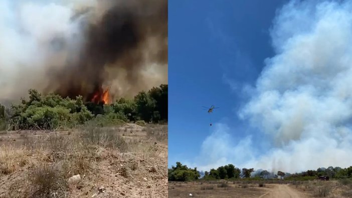 Antalya'da iki orman yangını