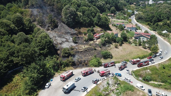 Beykoz'daki ormanlık alanda yangını
