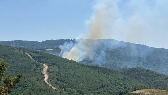Çanakkale'de orman yangını çıktı