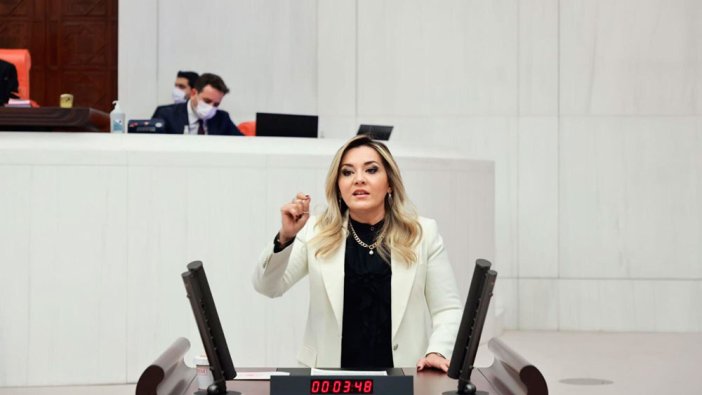 Cesur Vekil, domates üreticisinin sorununu Meclis'e taşıdı