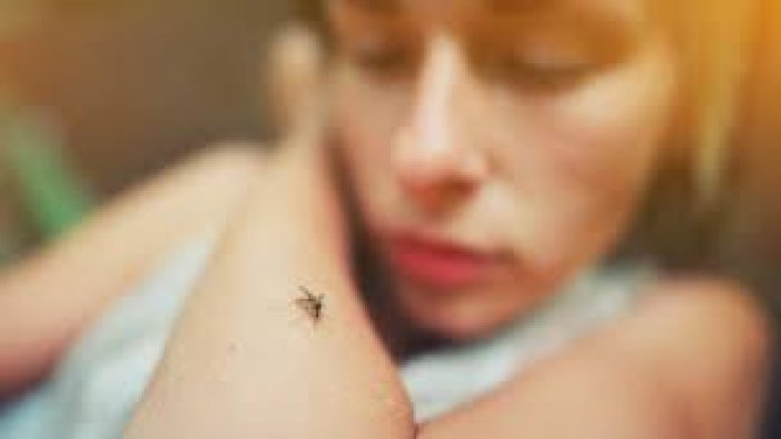 Yeni virüs tehlikesi sivrisineklerden bulaşıyor ve öldürücü!