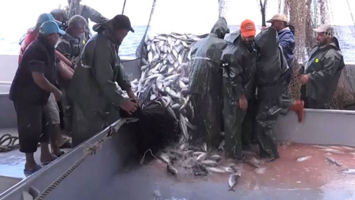 Karadenizli balıkçıların yüzünü palamut güldürdü