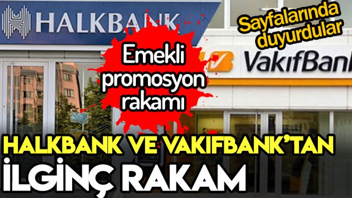 Halk Bankası ve Vakıf Bank'tan emekli promosyon duyurusu: İşte son rakam