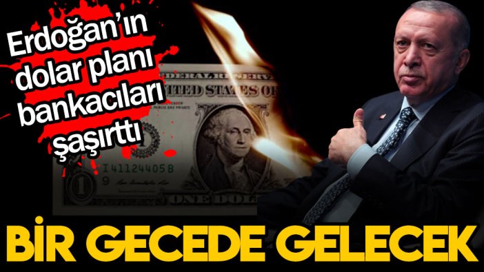 AKP'nin bankacıları şaşırtan dolar planı sızdı! Bir gecede tarihi seviye