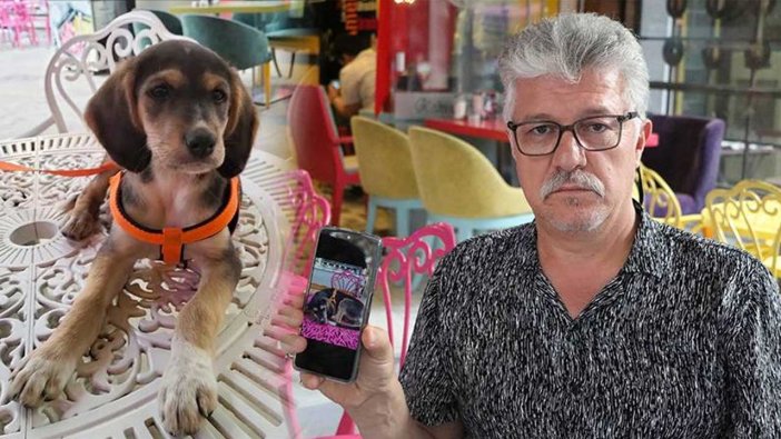 Kayıp köpeği Latte için para ödülü koydu! Bulana 5 bin tl