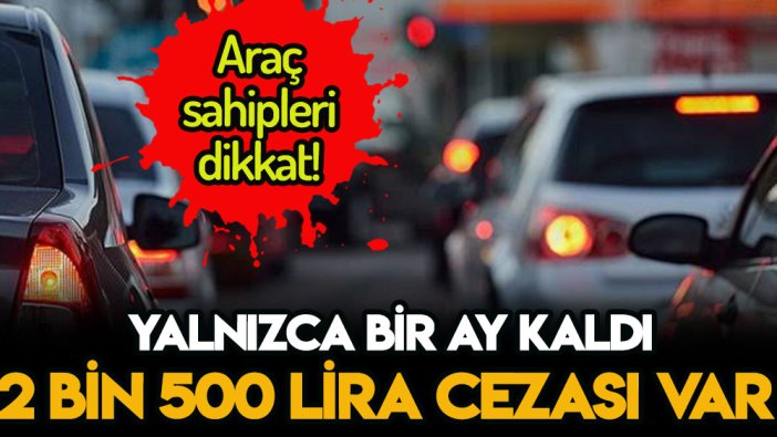 Araç sahipleri dikkat: Bir ay içinde yaptırmayana 2 bin 500 lira ceza yazılacak