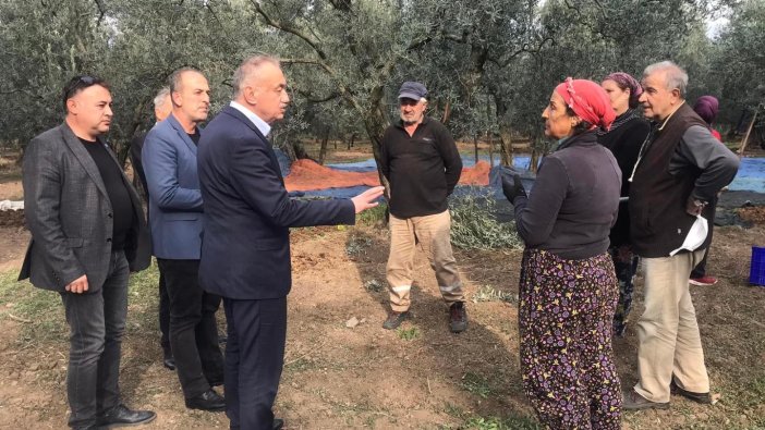 İYİ Partili İsmail Tatlıoğlu: Böyle giderse zeytini üretecek çiftçiyi bulamayacaklar