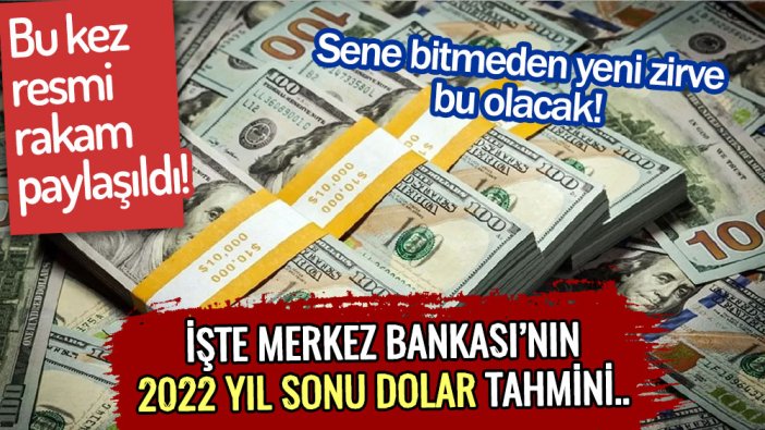 Bu rakamı Merkez Bankası açıkladı: Doları olanlar 1 ay sonra bu rakamı görecek!