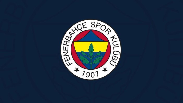 Fenerbahçe Beko'da bir sakatlık şoku daha!