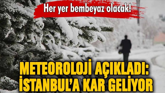 Meteoroloji tarih verdi: Her yer bembeyaz olacak! İstanbul'a kar ne zaman yağacak?