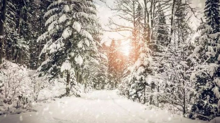 Rüyada yaz günü kar yağması ne anlama geliyor?
