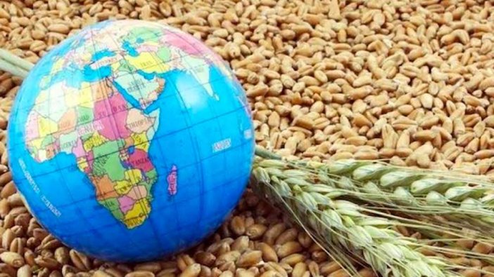 Küresel gıda fiyatları 2022'de rekor kırdı