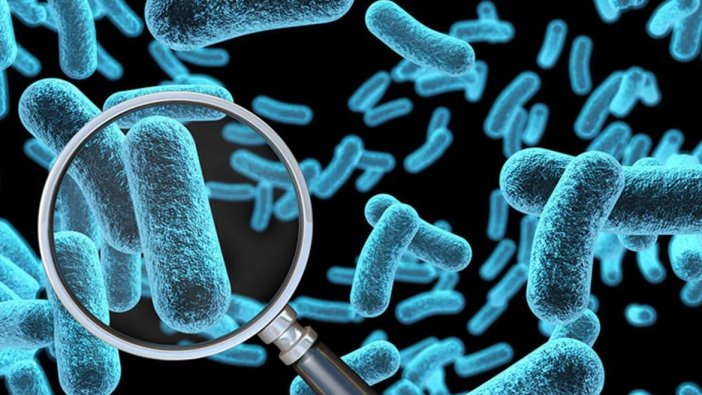 Bu bakteriyi hafife almayın: Ölümcül riski çok büyük!