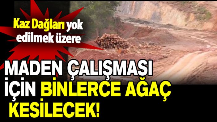 Kaz Dağları'nı yok edecek maden projesi: 158 bin ağaç kesilecek!