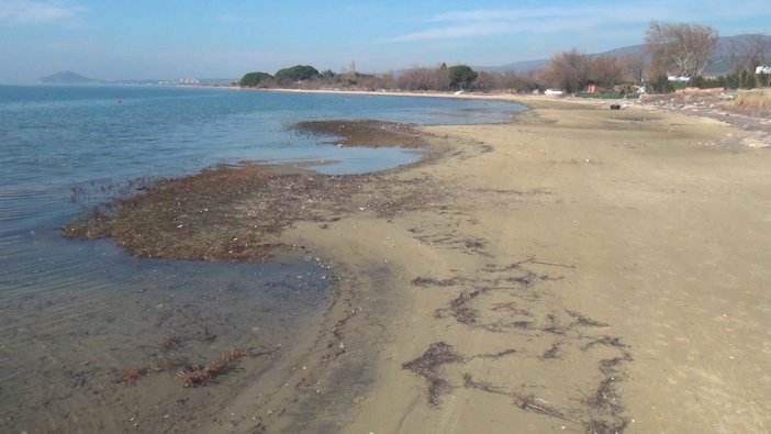Erdek'te deniz çekilince ortaya çıktı: 3 bin yıllık!