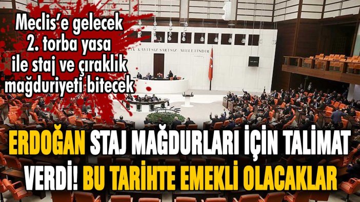Staj ve çıraklık mağdurlarına canlı yayında müjde! Erdoğan emeklilik için talimat verdi