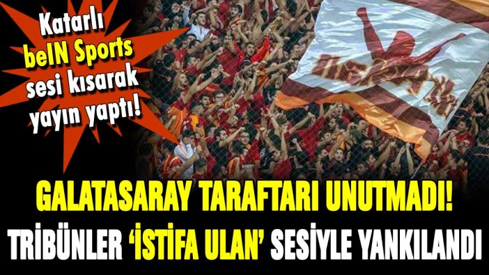 Galatasaray tribünleri ''istifa ulan'' sloganıyla inledi!