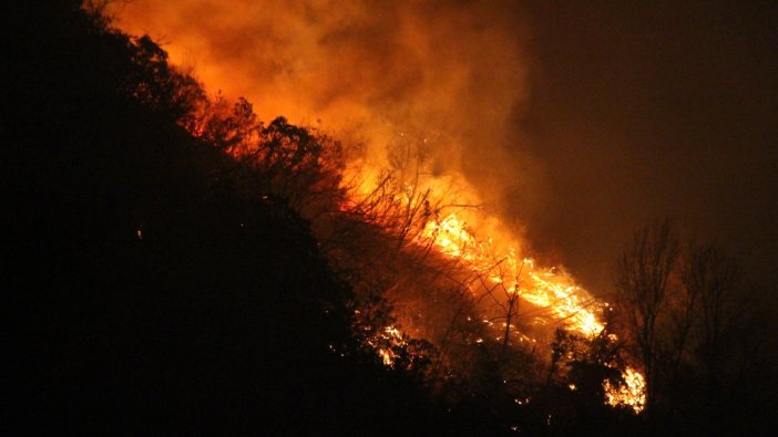 Trabzon’da orman yangını!