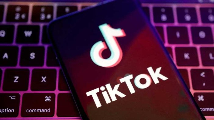 Hollanda kamu çalışanlarından TikTok'u silmelerini istedi