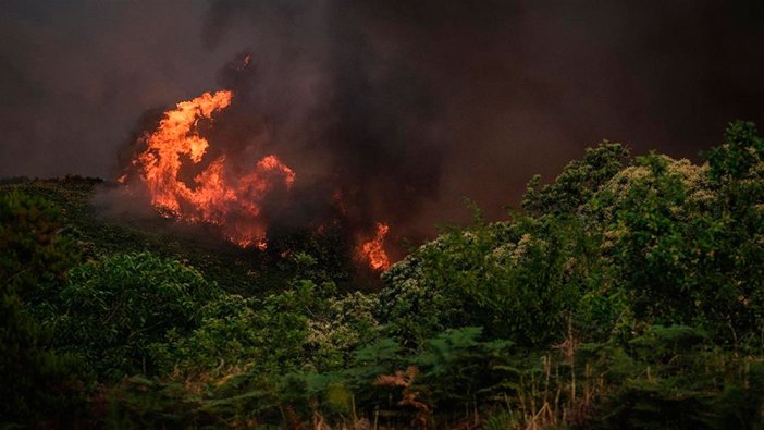 İspanya'da 60'tan fazla orman eş zamanlı yandı
