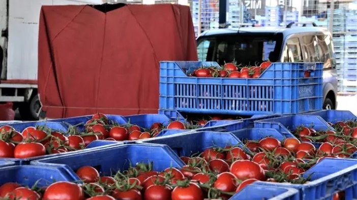 Antalya'da domatesin fiyatı düştü!