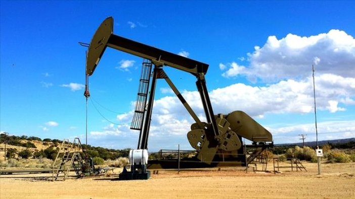 OPEC+'dan petrol üretimine kesinti kararı