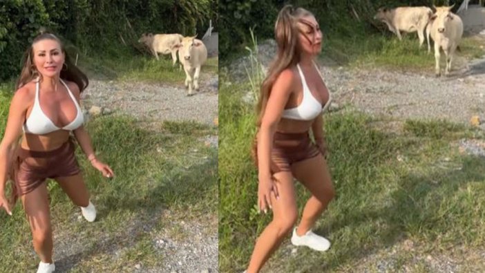 Dünyaca ünlü modeli bikinili gören inek ne tepki verdi