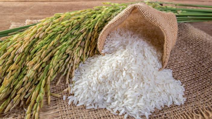 Çinli araştırmacılar, pirincin genetik haritasını çıkardı