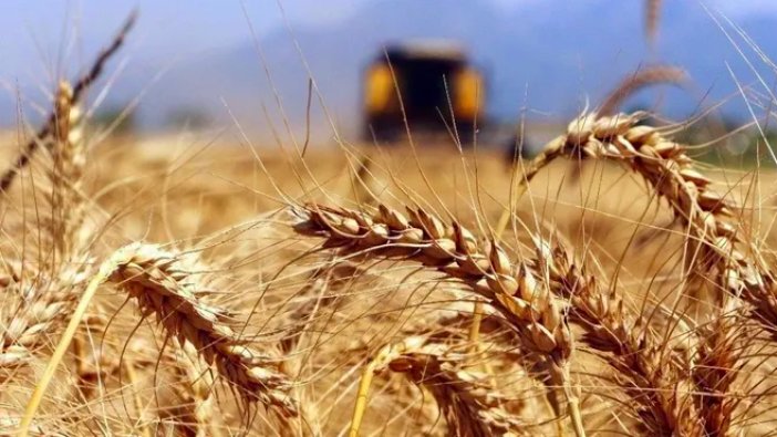 Buğday ve yağ fiyatı uluslararası piyasada düştü