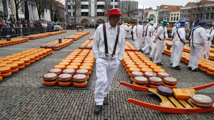 Geleneksel Hollanda peyniri festivali
