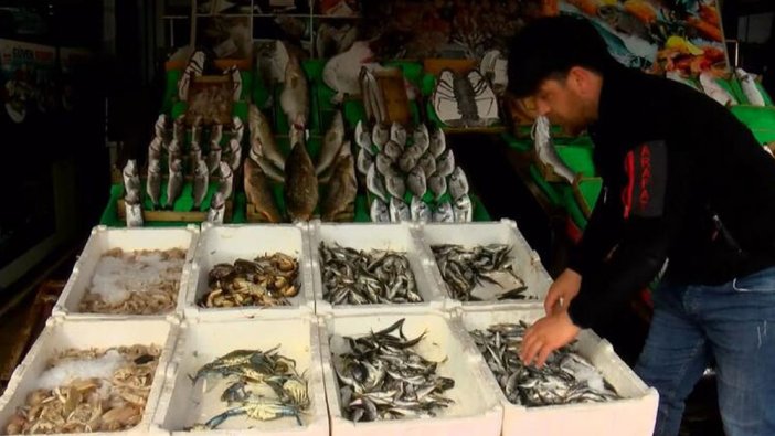Marmara Denizi'nde balık türü azalıyor