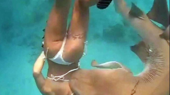 Genç Kadının tatili kabusa döndü: Köpekbalığı dehşeti yaşattı! O anlar saniye saniye görüntülendi