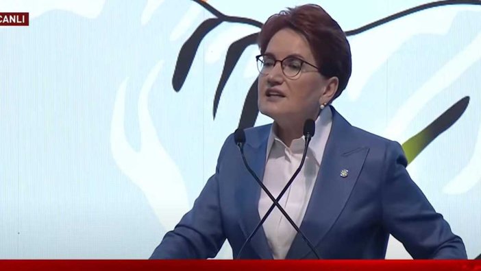 Meral Akşener ‘Türkiye’de bir ilk’ diyerek açıkladı: İYİ Parti’den kişiye özel seçim beyannamesi