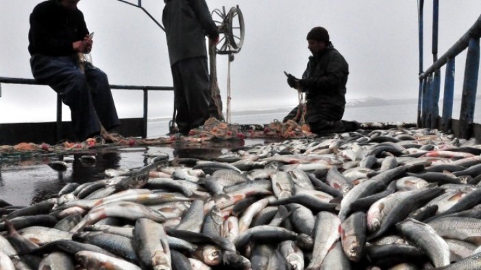 Balık fiyatlarında beklenen indirim gelmeden denizlerde av yasağı başladı