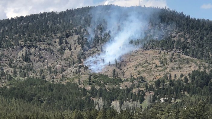 Konya'da ormanlık alanda yangın