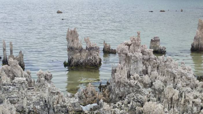 Van Gölü'nde sular çekilince ortaya çıktı: Dünyanın en büyüğü!
