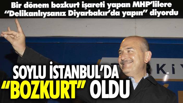 Süleyman Soylu İstanbul'da bozkurt oldu!Bir dönem bozkurt işareti yapan MHP’lilere “Delikanlıysanız Diyarbakır’da yapın” diyordu