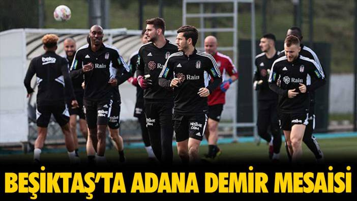 Beşiktaş, Adana Demir mesaisine başladı