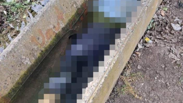 Adana'da kanalda genç kadın cesedi