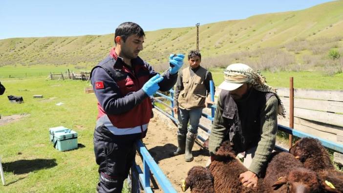 15 bine yakın aşı yapıldı