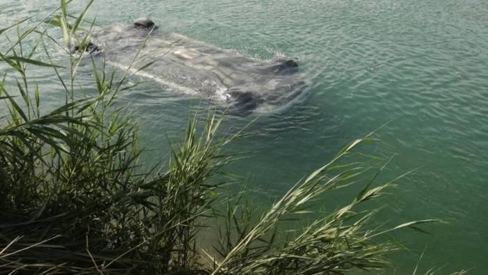 Sulama kanalında araç bulundu: 3 ölü