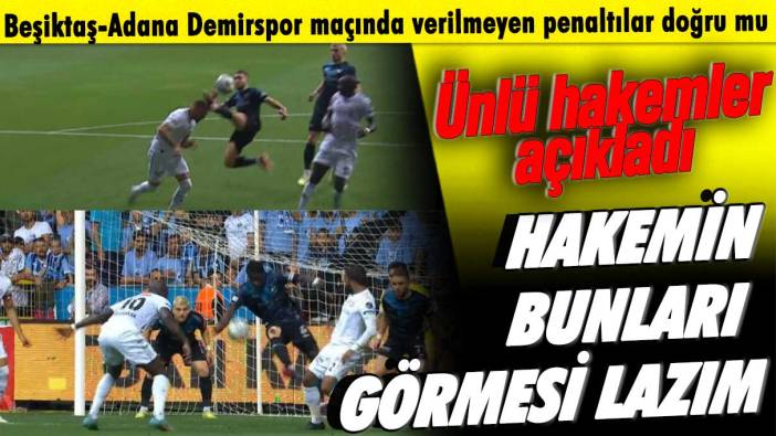 Hakemler, Beşiktaş-Adana maçında verilmeyen penaltıları yorumladı: Hakemin bunları görmesi lazım