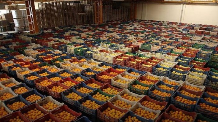 İşte ihracatı en çok azalan meyve ve sebzeler...
