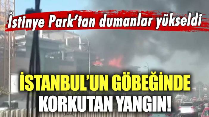 İstinye park alev alev yandı: İstanbul'un göbeğinde dumanlar yükseldi