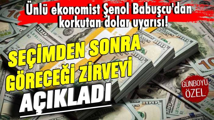 Ünlü ekonomist Şenol Babuşcu'dan korkutan dolar uyarısı! Seçimden sonra göreceği zirveyi açıkladı