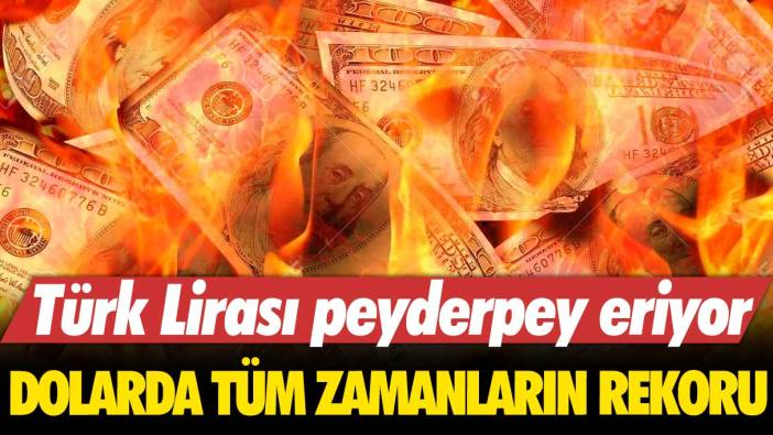 Türk Lirası peyderpey eriyor: Dolarda tüm zamanların rekoru