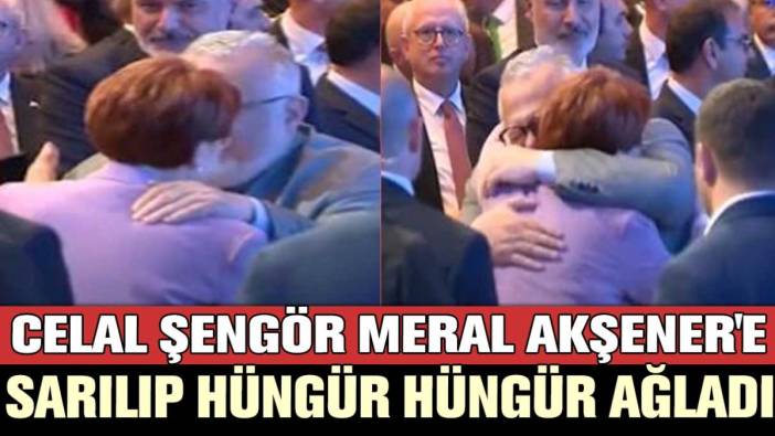 Celal Şengör Meral Akşener'e sarılıp hüngür güngür ağladı