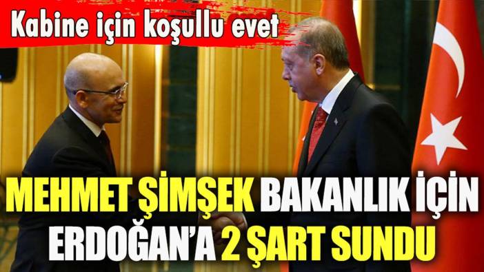 Mehmet Şimşek, Erdoğan'ın bakanlık teklifini kabul etmek için 2 şart sundu